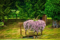 Front-bench