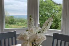 Photo-24-05-2019-19-18-17